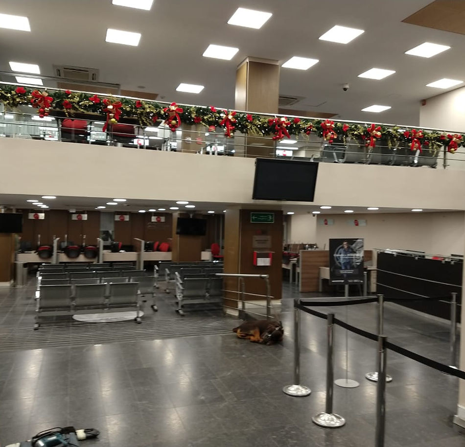 CAMARA DE C.jpeg.jpeg